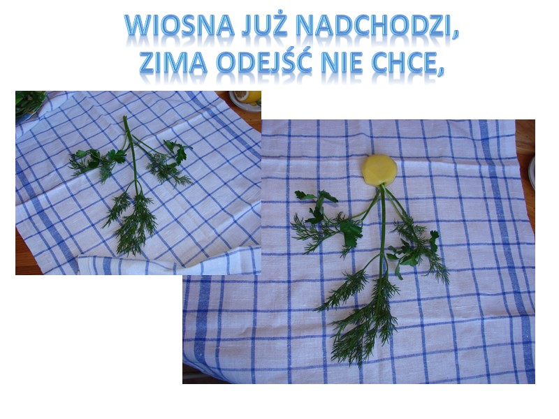 Wiosna już nadchodzi, zima odejść nie chce,